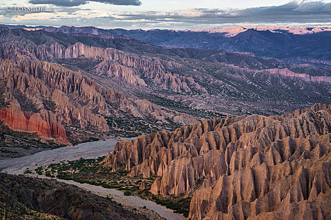 141127-3787.jpg