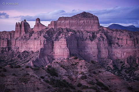 141127-3795.jpg