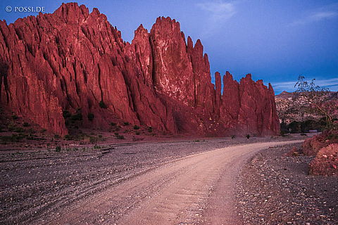 141127-3799.jpg