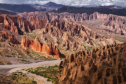141128-3837.jpg