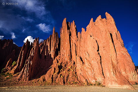 141128-3867.jpg