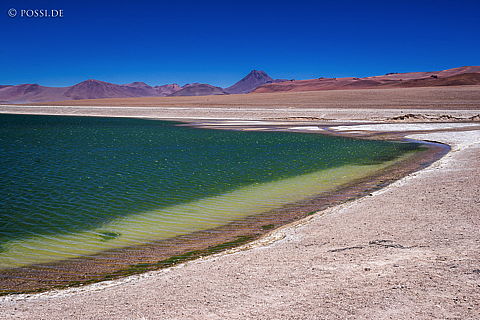 141130-3906.jpg