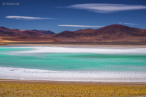 141202-4015.jpg