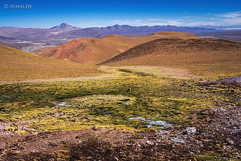 141203-4030.jpg