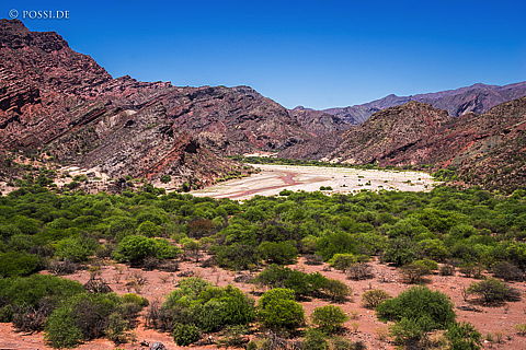 141205-4094.jpg