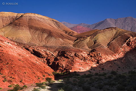 141207-4129.jpg