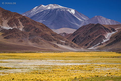 141207-4136.jpg