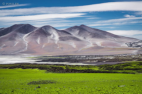 141207-4166.jpg