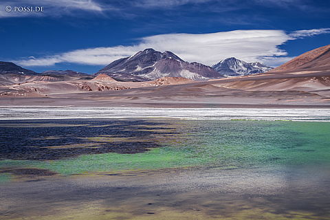 141207-4175.jpg