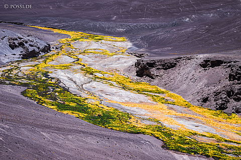 141207-4195.jpg