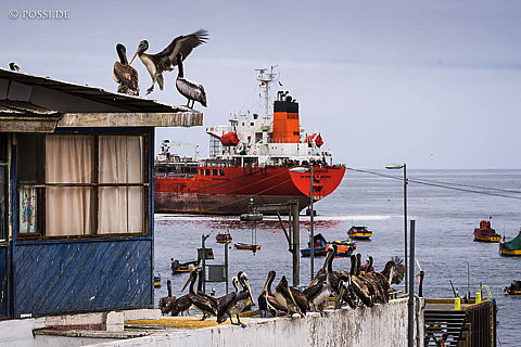 141208-4251.jpg