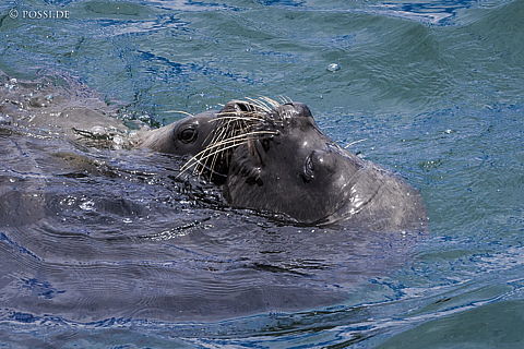 141208-4353.jpg