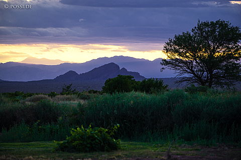 141212-4677.jpg