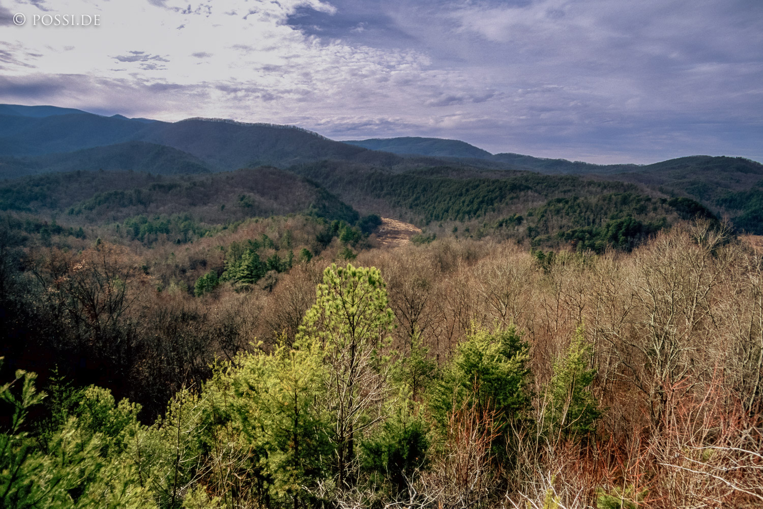 061109-0077.jpg