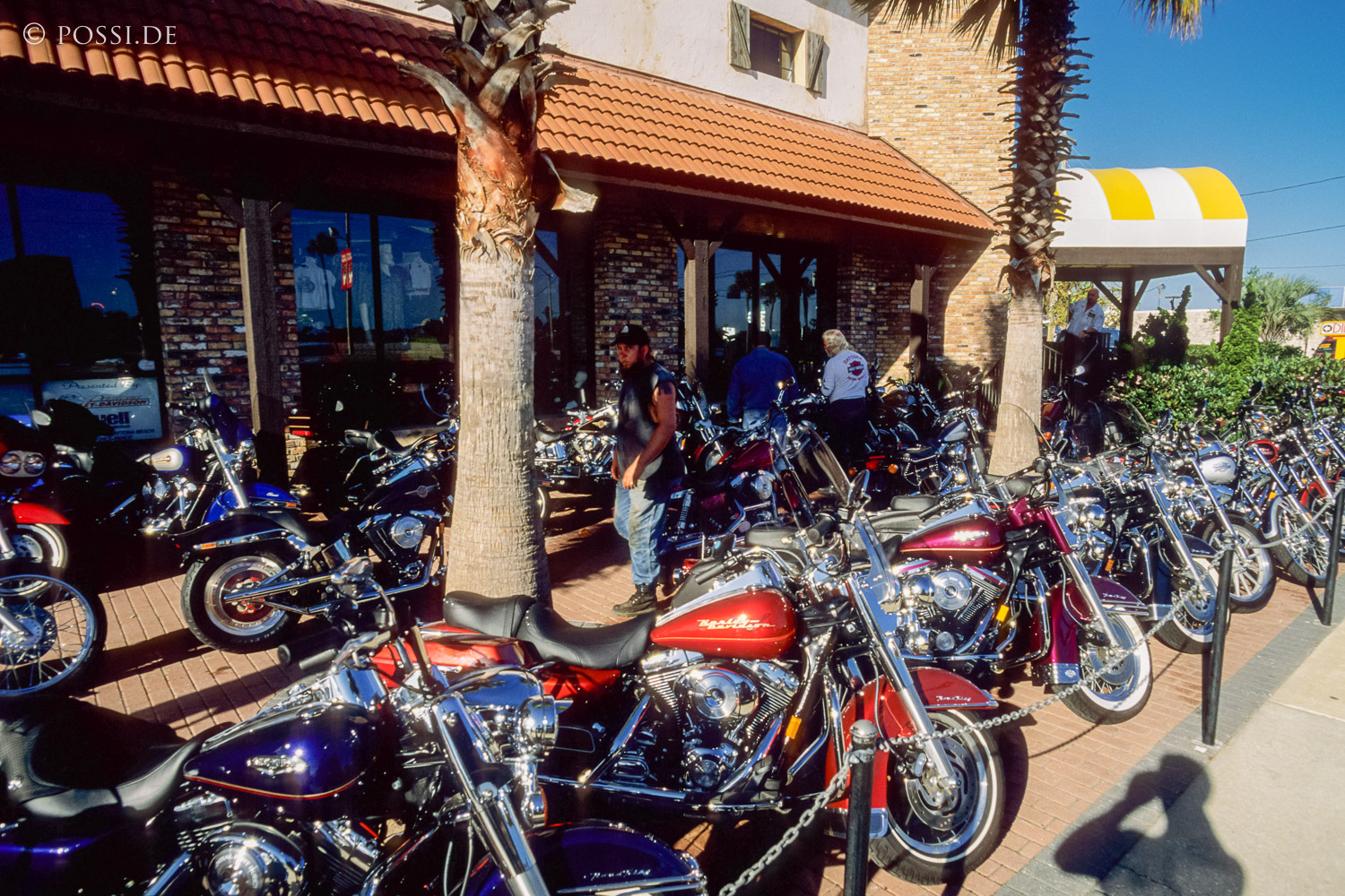 061109-0177.jpg