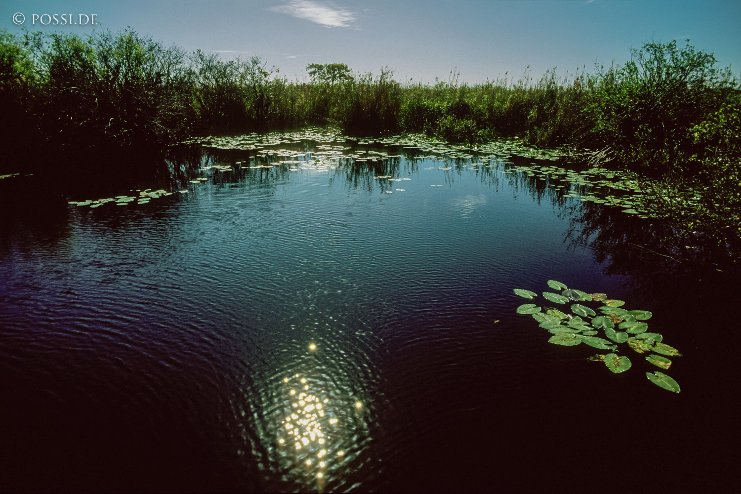 061109-0201.jpg