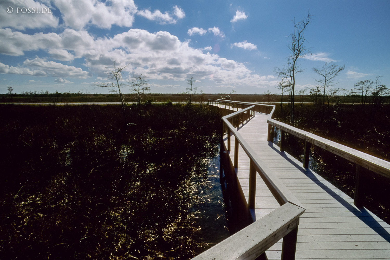 061109-0209.jpg