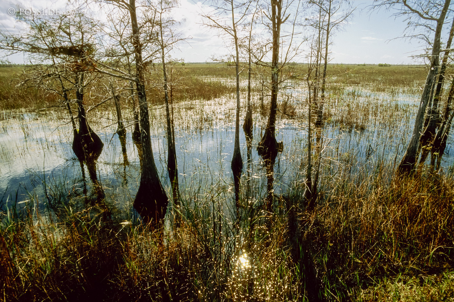 061109-0211.jpg