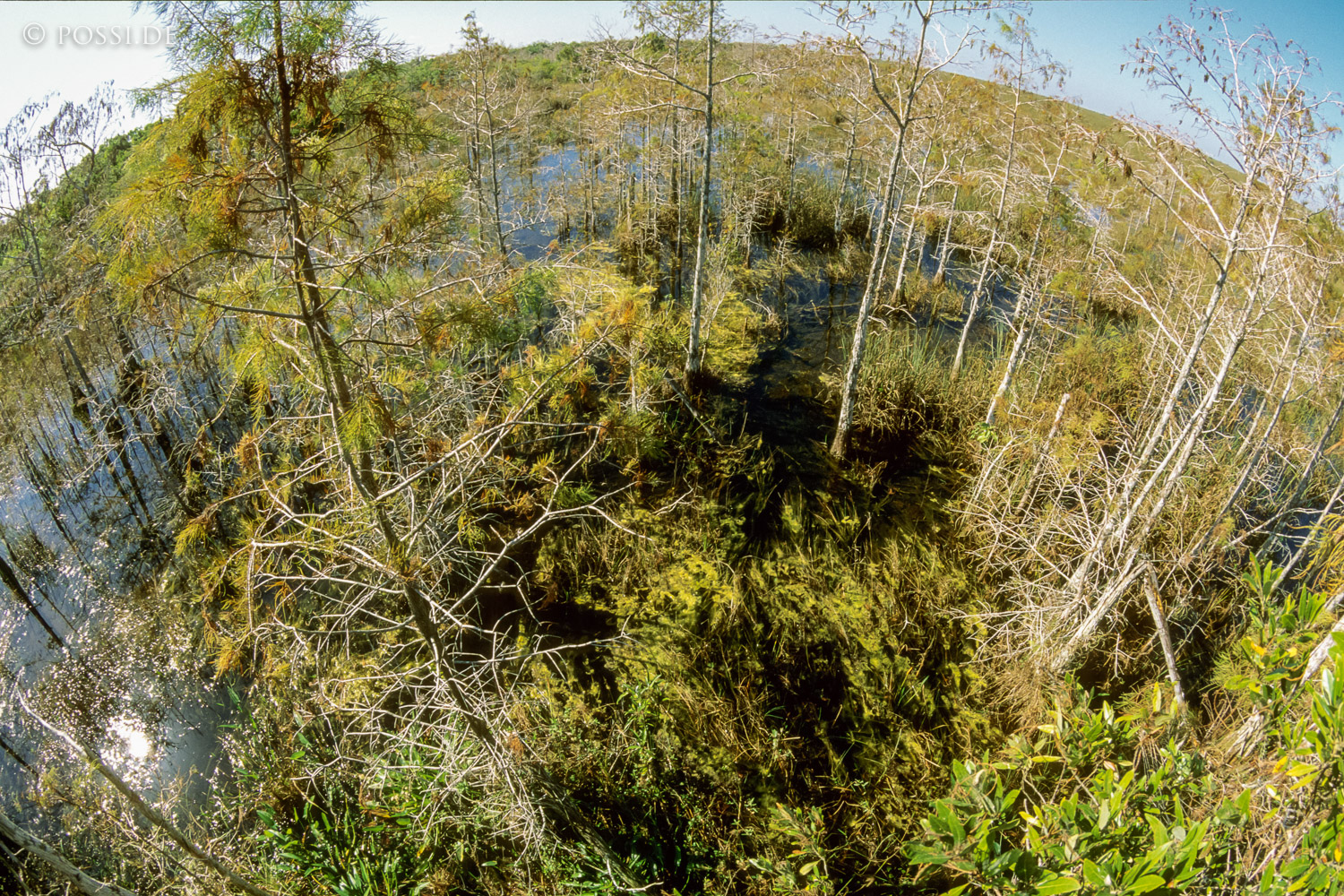 061109-0212.jpg