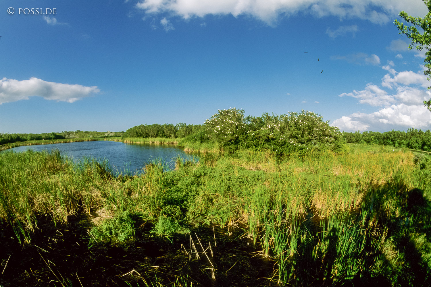 061109-0220.jpg