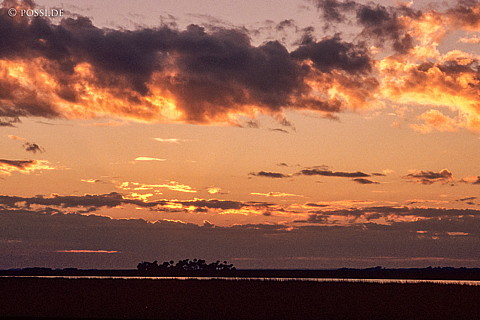 061109-0113.jpg