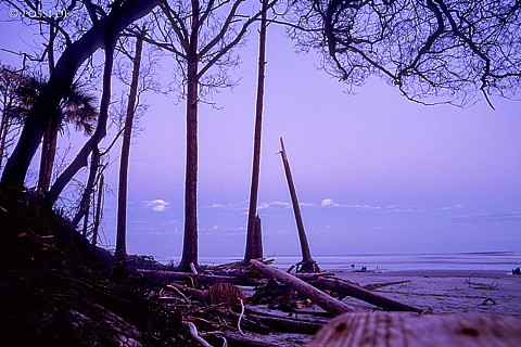 061109-0115.jpg