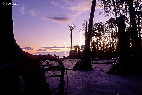061109-0116.jpg