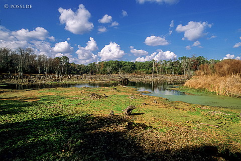 061109-0121.jpg