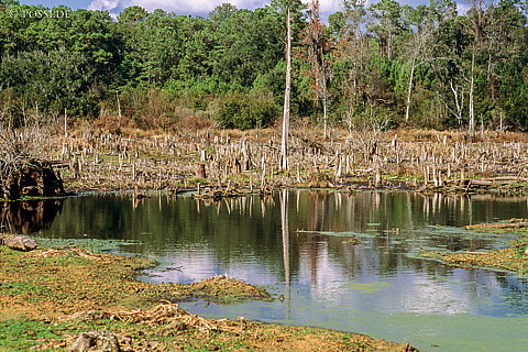 061109-0122.jpg