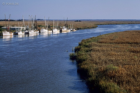 061109-0128.jpg