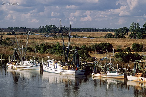 061109-0130.jpg