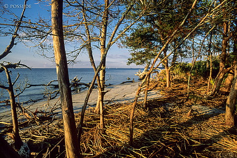 061109-0137.jpg