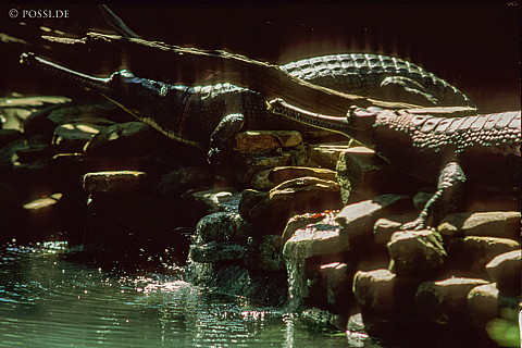 061109-0151.jpg