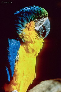 061109-0152.jpg