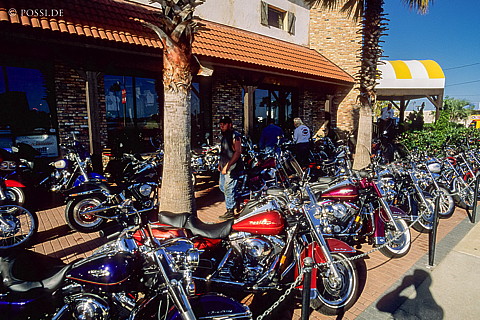 061109-0177.jpg