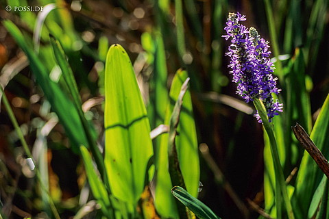 061109-0199.jpg