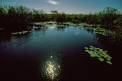 061109-0201.jpg