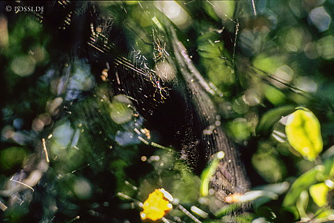 061109-0203.jpg