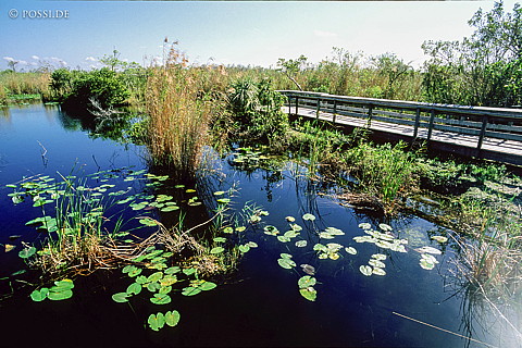 061109-0204.jpg