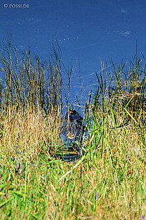 061109-0205.jpg