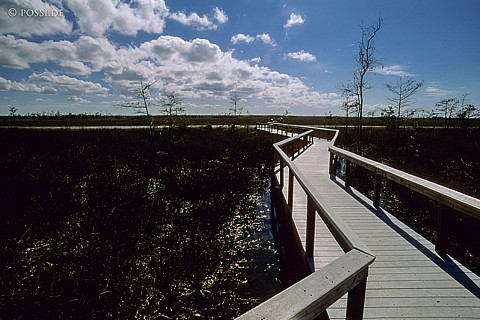 061109-0209.jpg