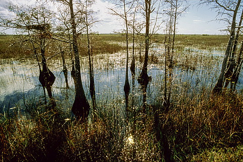 061109-0211.jpg