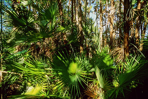 061109-0213.jpg