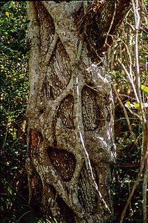 061109-0215.jpg