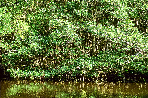 061109-0219.jpg