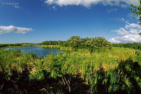 061109-0220.jpg