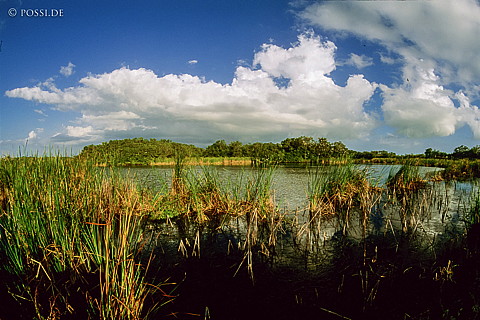 061109-0229.jpg