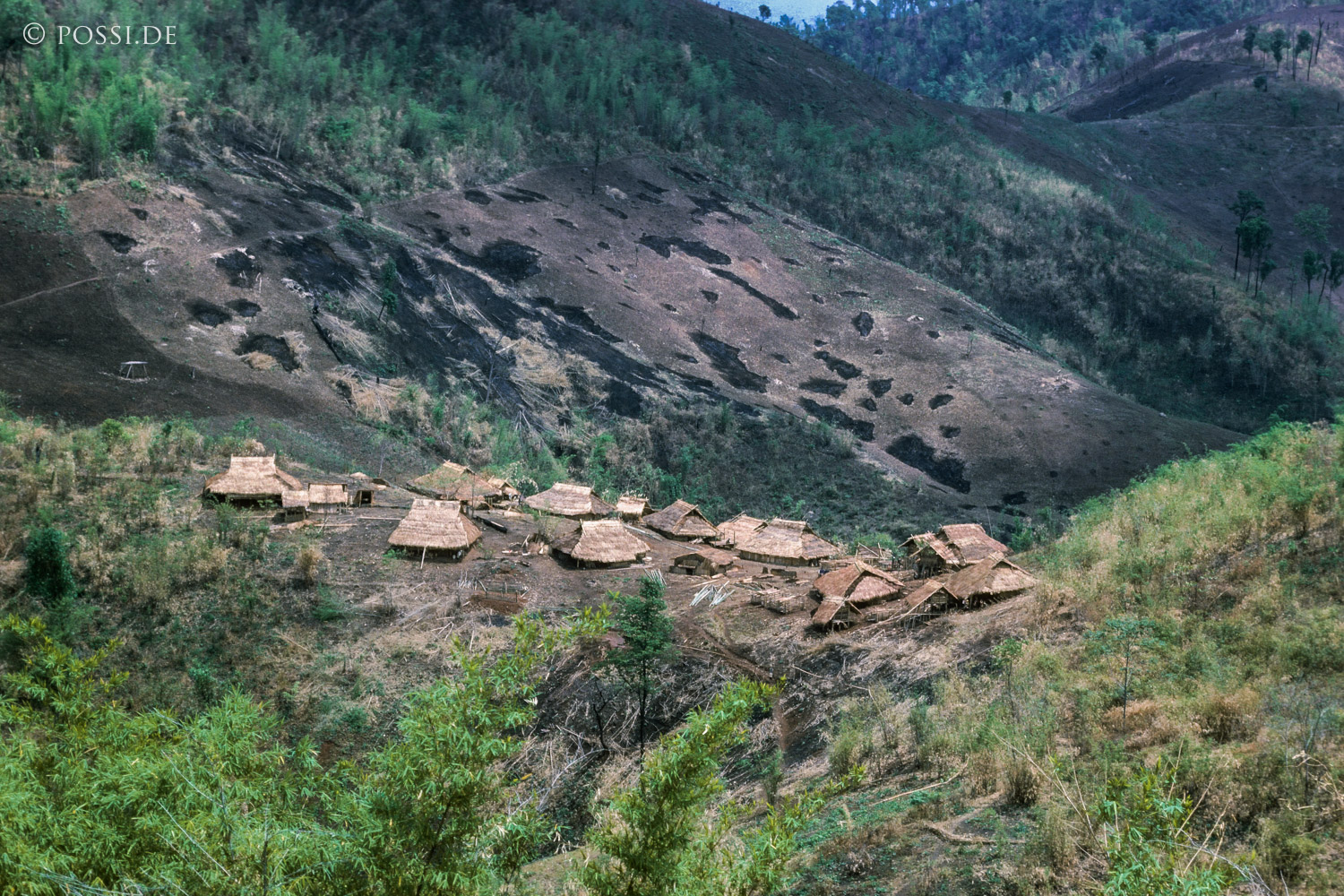 dia0369.jpg