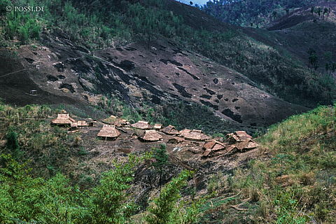 dia0369.jpg