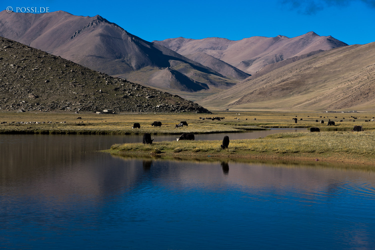 100925-2196.jpg
